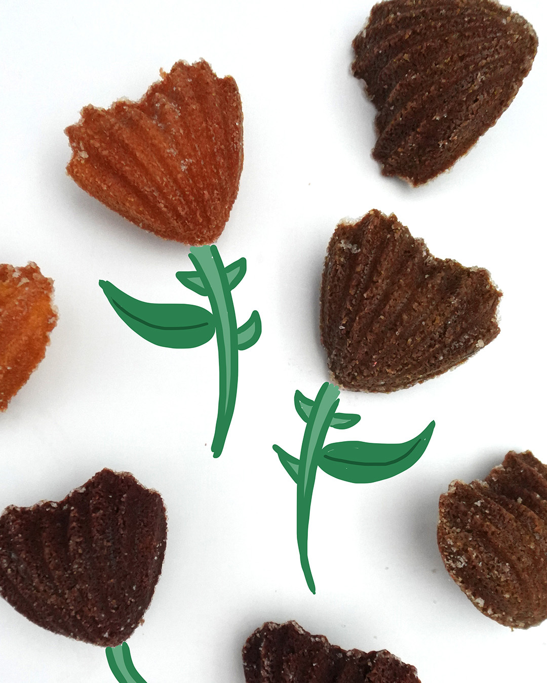 【desertLAND 】 沙漠玫瑰瑪德蓮禮盒 (8入)