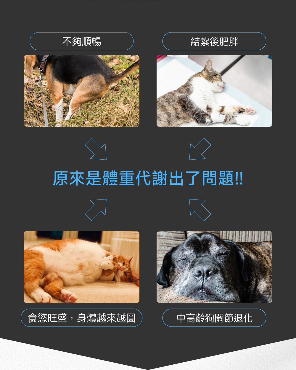 原來是體重代謝出了問題