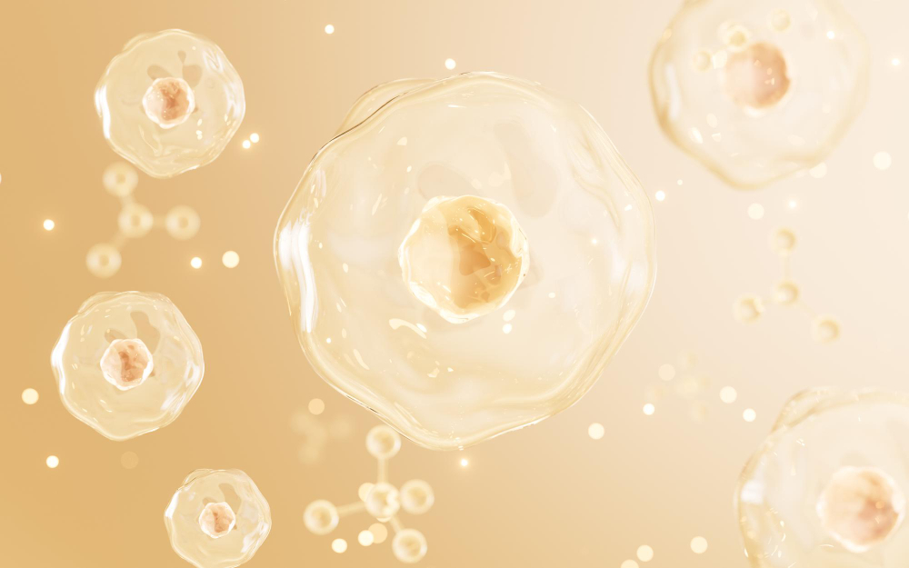 外泌體是什麼？詳解外泌體功效＆特色，掌握強健髮根新科技