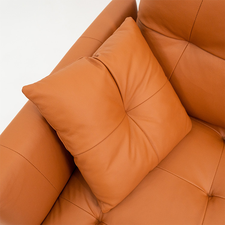 𝐃𝐨𝐯𝐞 多芬