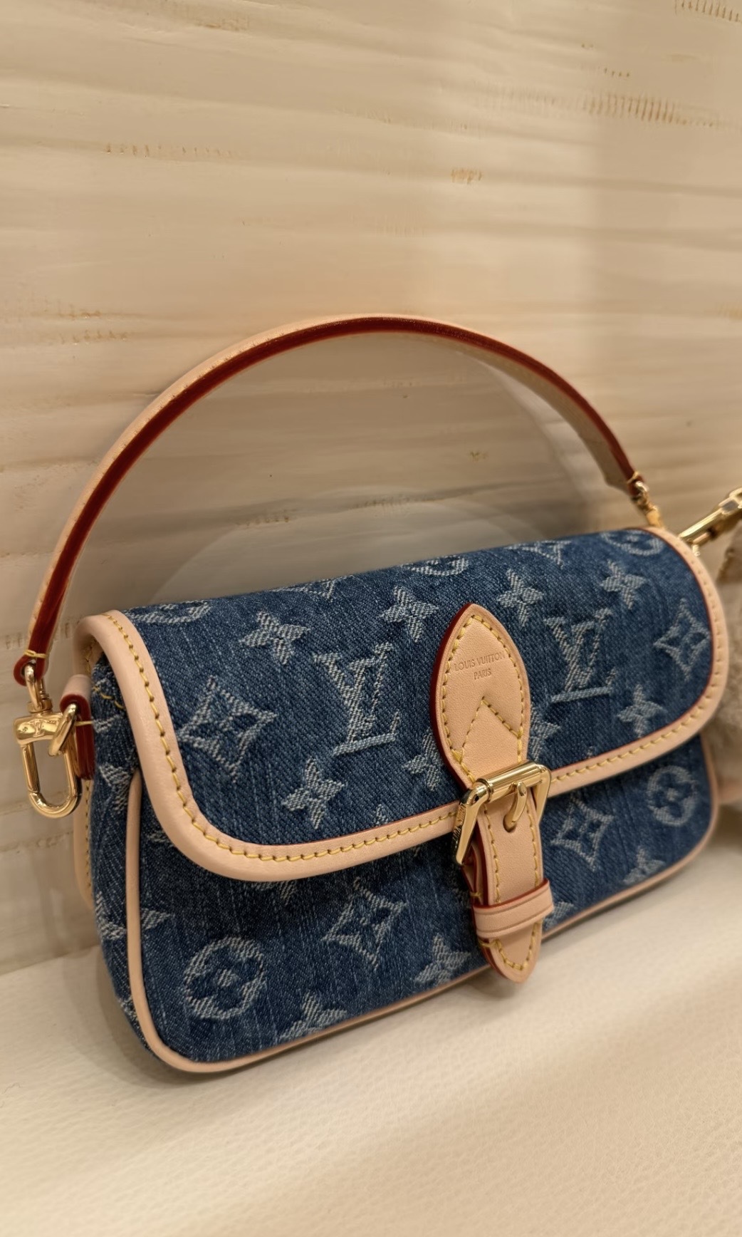 【2色入】Louis Vuitton LV Nano Diane