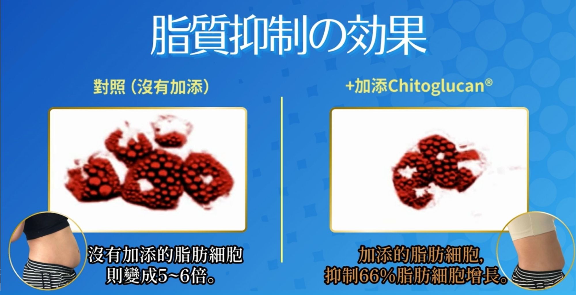 Pillbox, Onakablock+, 閘脂防彈丸雙效版,閘脂防彈,防彈丸