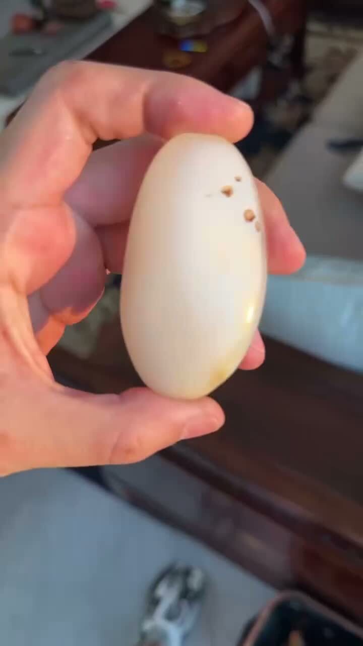 36722 和田玉籽料原籽觀音牌