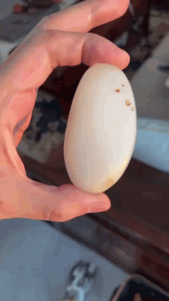 36722 和田玉籽料原籽觀音牌