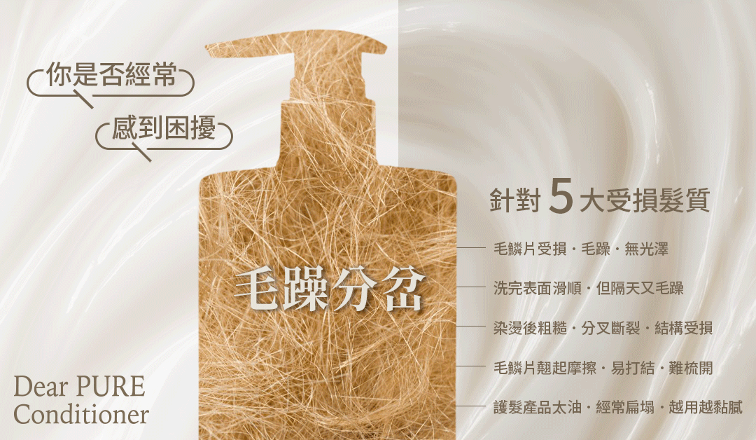 Dear PURE 納豆蛋白護髮素 成分與結構介紹圖
