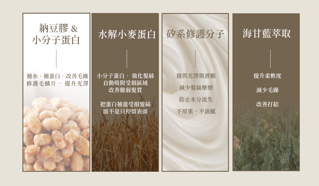 Dear PURE 納豆蛋白護髮素 修護概念說明圖