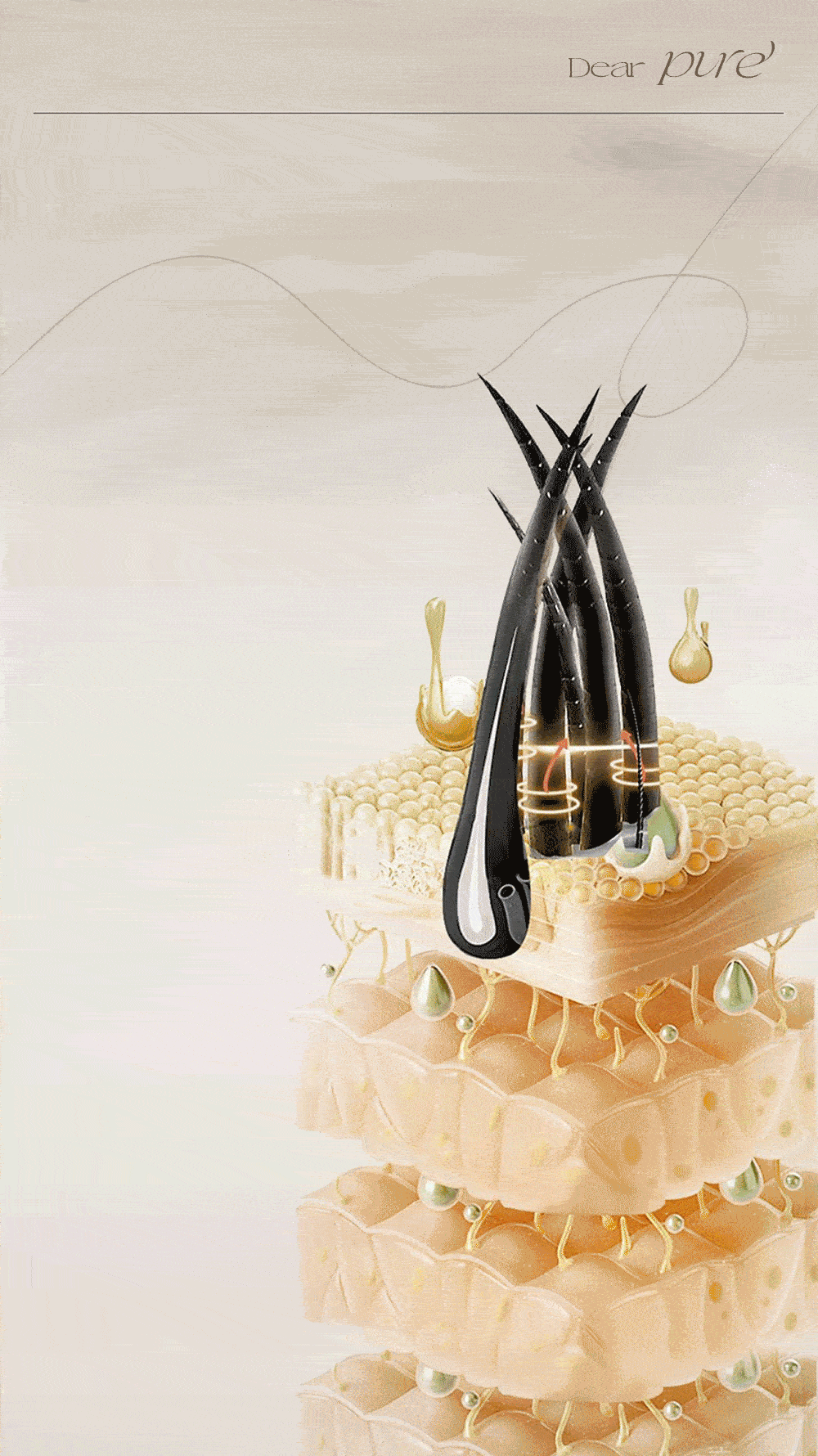 Dear PURE 藍銅胜肽平衡洗髮精 沒藥醇介紹圖