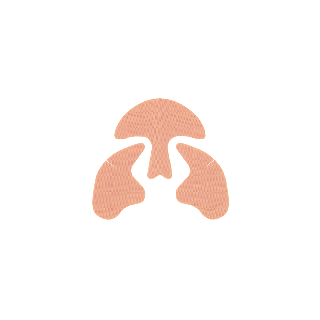 JungSaemMool beauty 面部去皺提拉兩用貼片5P