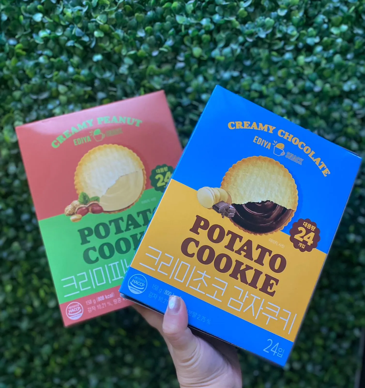 韓國🇰🇷❣EDIYA COFFEE 馬鈴薯夾心薄餅