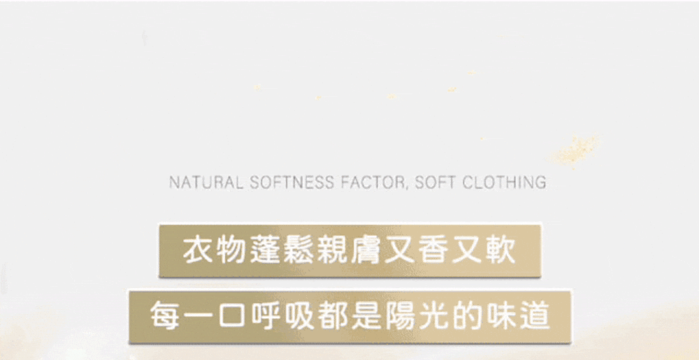 Dear PURE 四合一洗衣膠球 香氣層次介紹圖