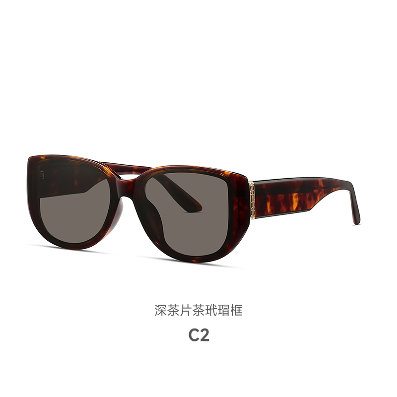 WS039 B13 太陽眼鏡 玳瑁框架深灰片