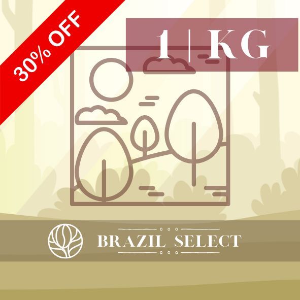 雨林曙光｜日曬｜1KG商用包