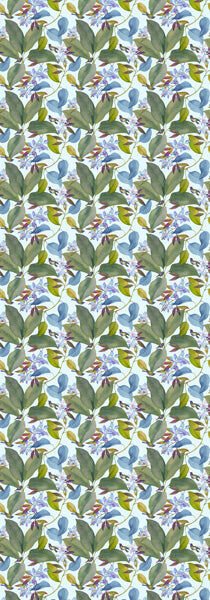 AUS-CCG0317-138 W26-55 FW 100% Fine Merino Wool 70 x 200cm (A98)