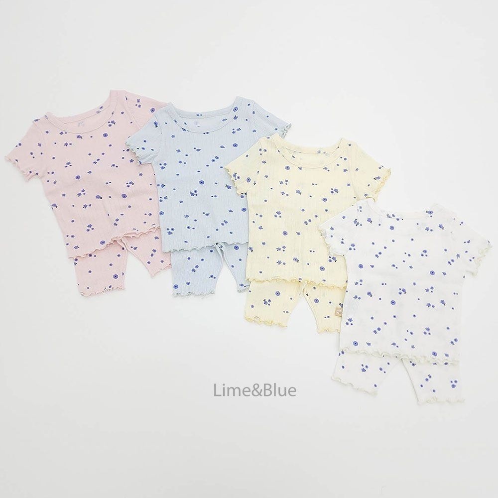 Lime&Blue Momo Blooming Set