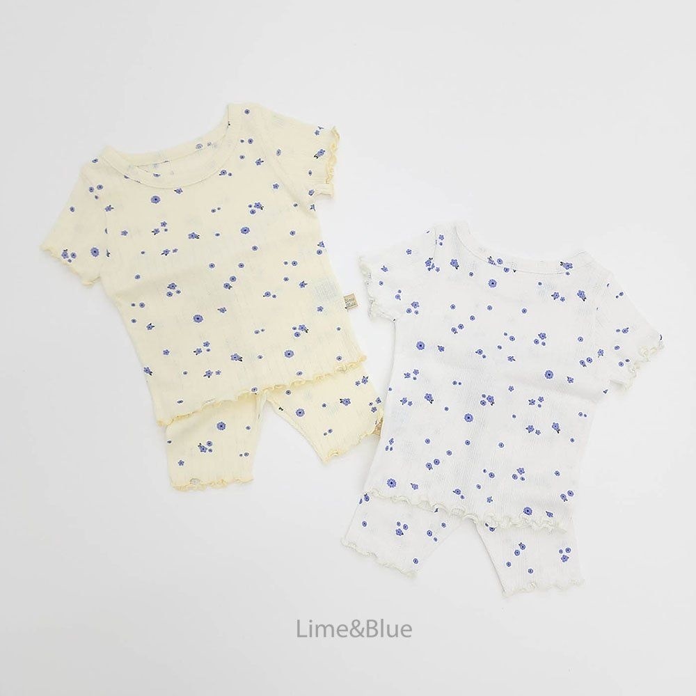 Lime&Blue Momo Blooming Set