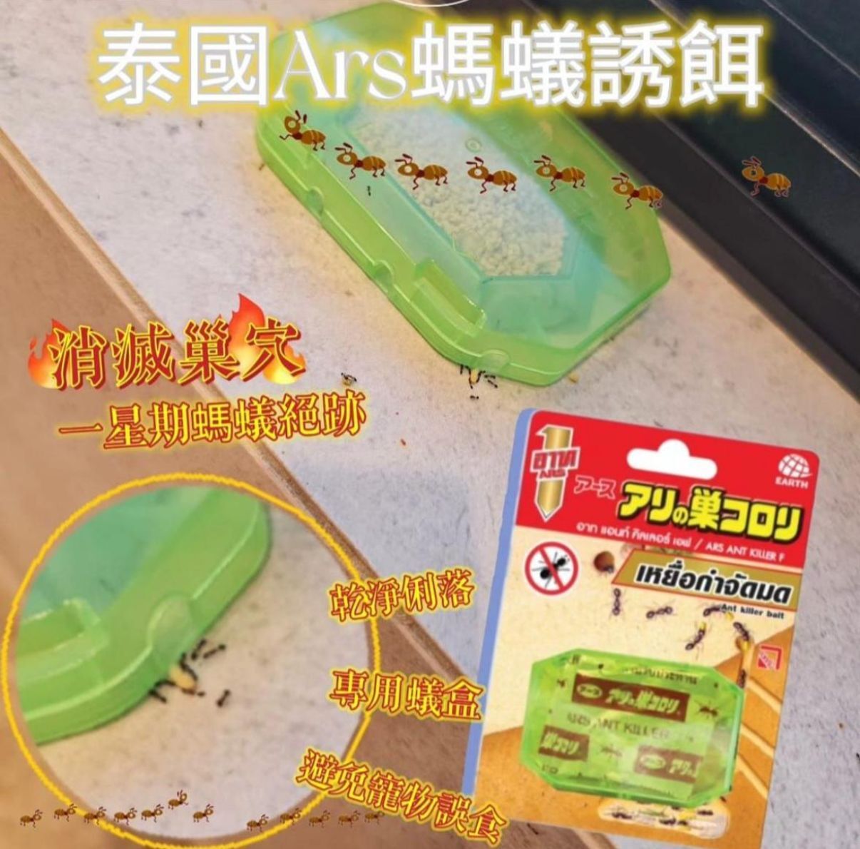 TH2 泰國ARS螞蟻誘餌