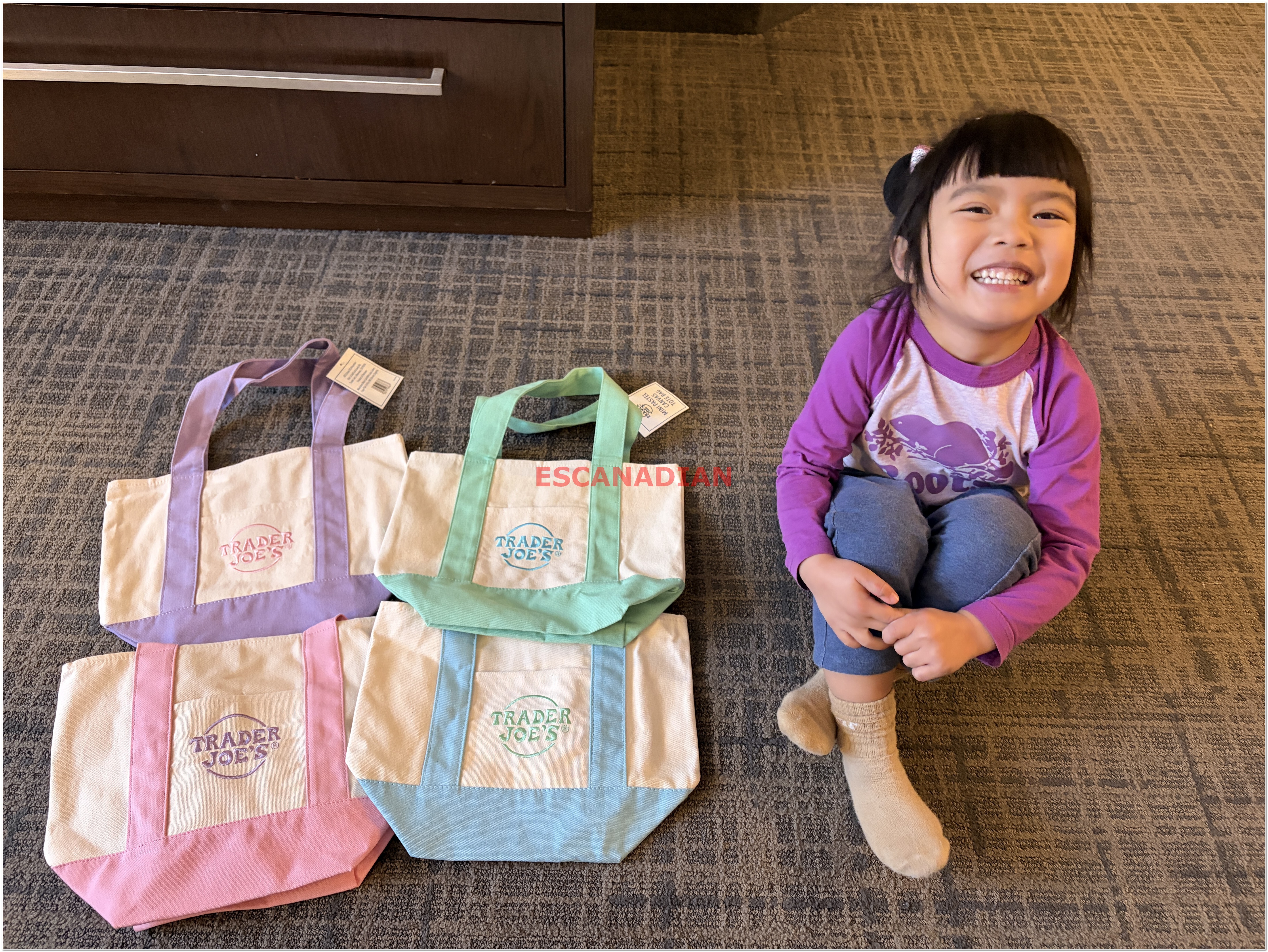 【限時】Trader Joe's 缺德舅 春季 迷你 托特包 (4色)