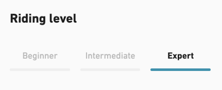 【JONES】Apollo Pro_M's SB Bindings固定器(男款)_2526