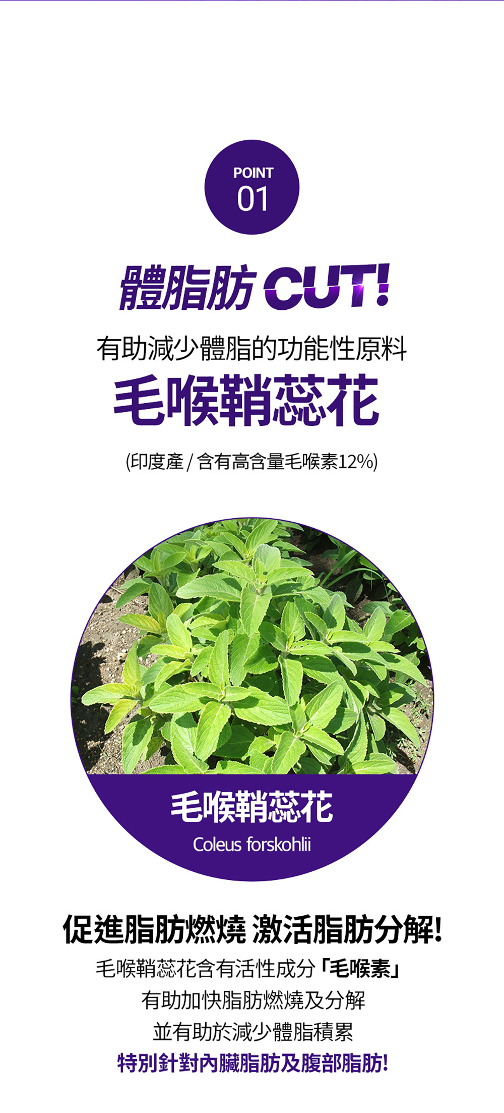 韓國SERYBURN穩糖纖腩飲V2