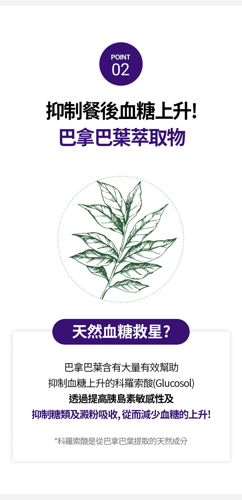 韓國SERYBURN穩糖纖腩飲V2