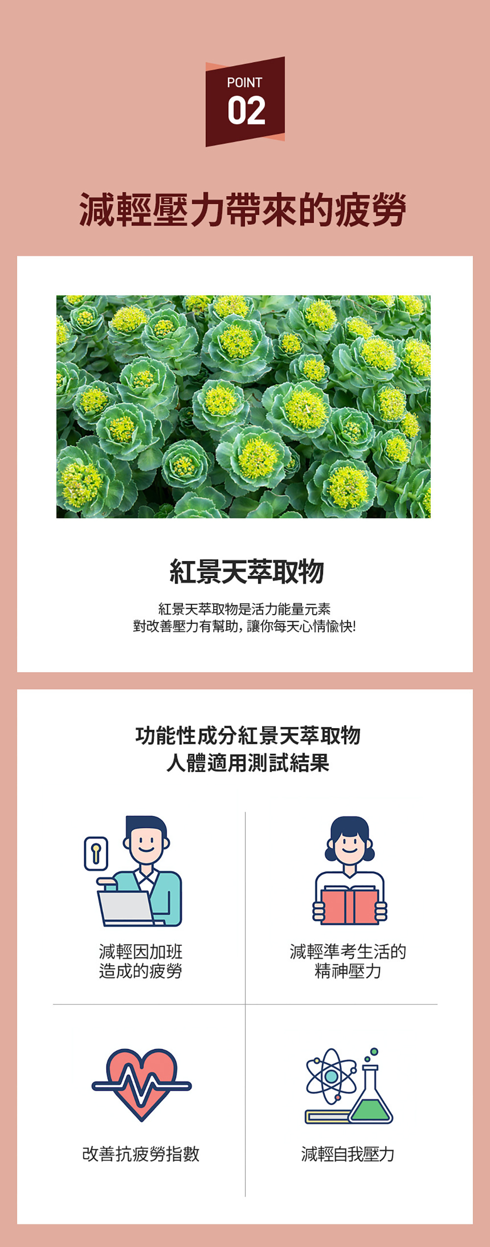 韓國SERYBURN穩糖纖腩飲V2