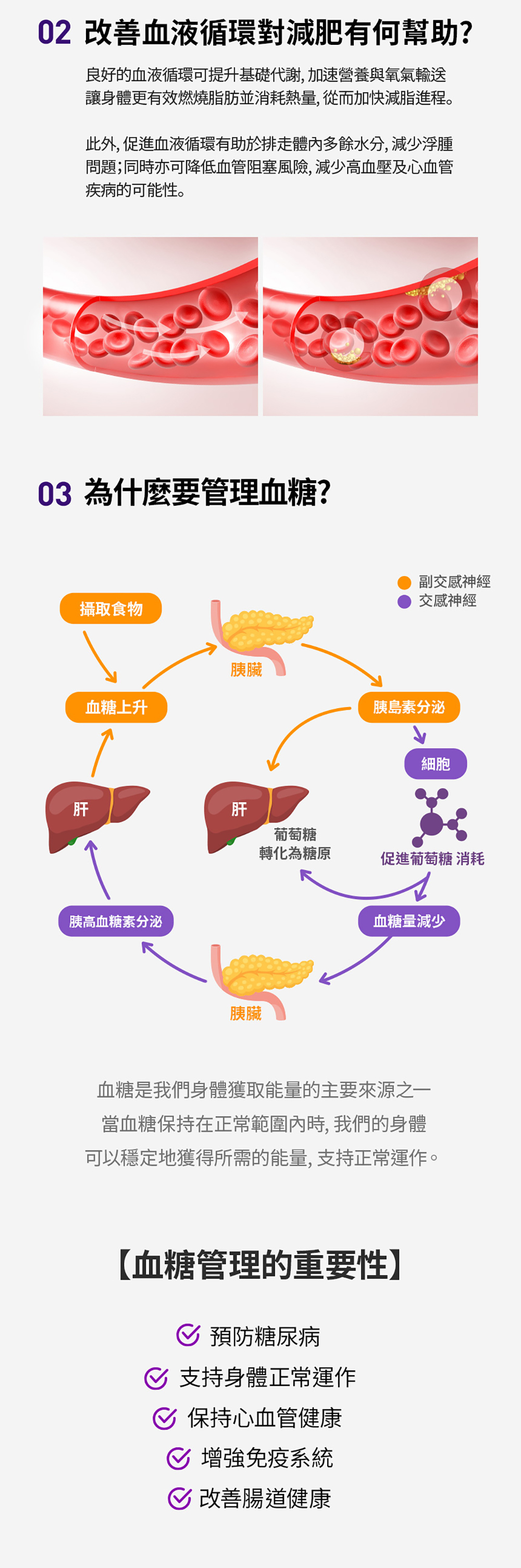 韓國SERYBURN穩糖纖腩飲V2