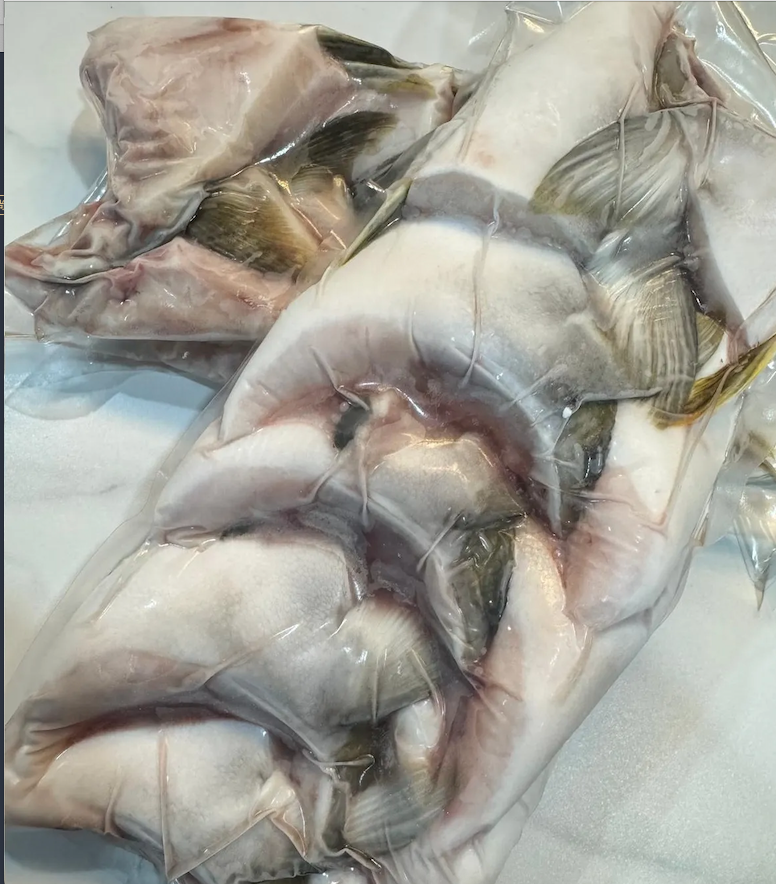 【急凍貨】日本 全月油甘魚鮫