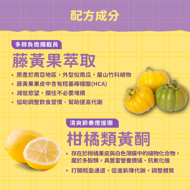 多餘負擔攔截員,藤黃果萃取,原產於南亞地區,外型似南瓜,屬山竹科植物,藤黃果果皮中含有羥基檸檬酸,HCA,減低慾望,攔住不必要堆積,協助調整飲食習慣,幫助提高代謝,清爽節奏應援團,柑橘類黃酮,屬於多酚類,豐富營養價値,抗氧化強,促進新陳代謝,調整體質