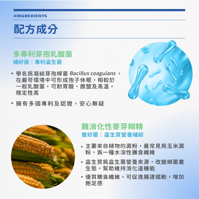 多專利芽孢乳酸菌,學名爲凝結芽孢桿菌,Bacillus coagulans,在嚴苛環境中可形成孢子休眠,相較於一般乳酸菌,可耐胃酸,膽鹽及高溫,穩定性高,擁有多國專利及認證,難消化性麥芽糊精,益生質為益生菌營養來源,改變細菌叢生態,幫助維持消化道機能