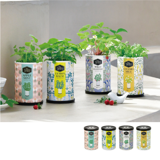 TEA GARDEN貓植物栽組 [共4款可選擇]