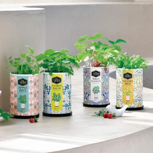 TEA GARDEN貓植物栽組 [共4款可選擇]