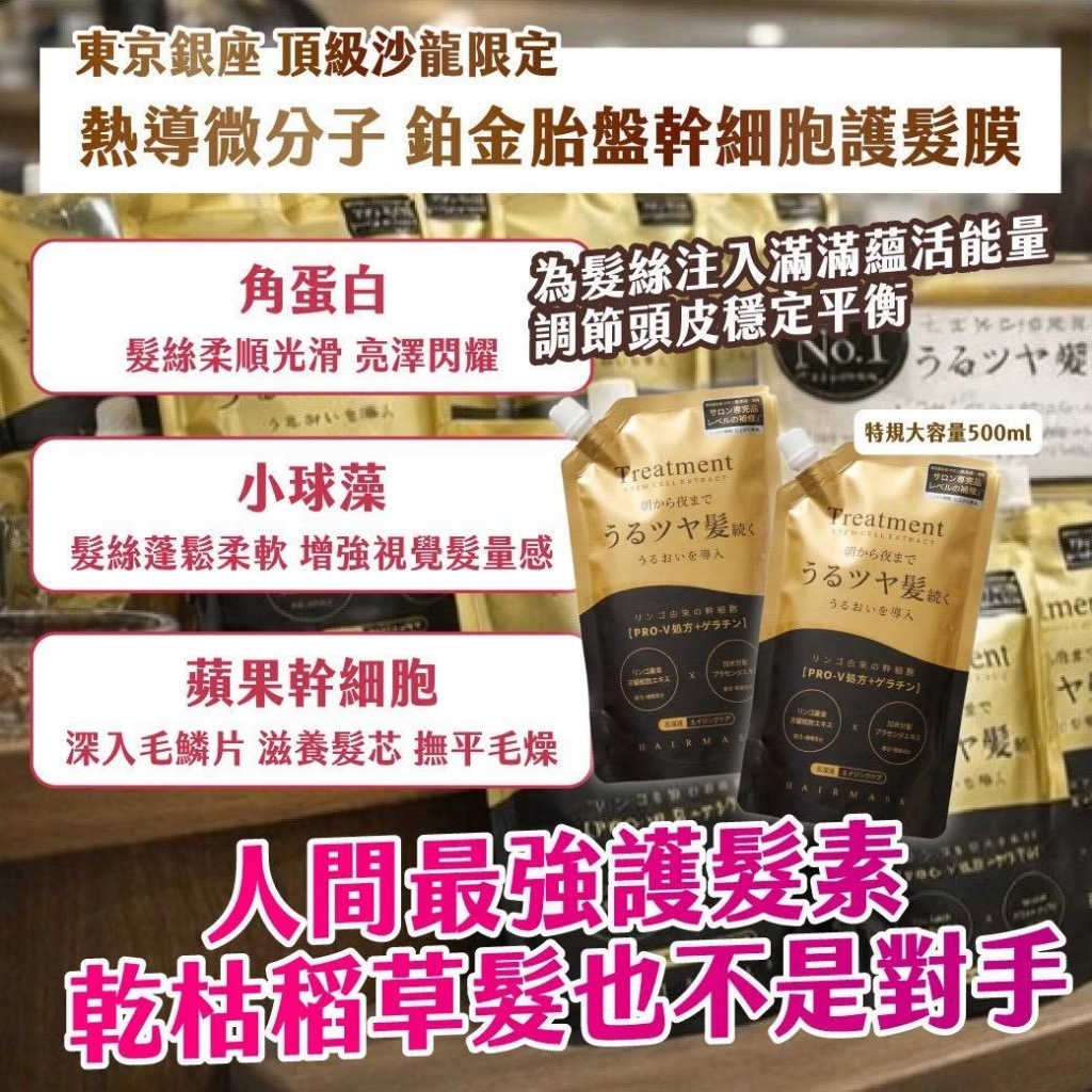 WSBB10853   💎日本東京銀座頂級沙龍限定｜二代(黑金版)幹細胞護髮膜500ml【一組2包】（5月下旬）