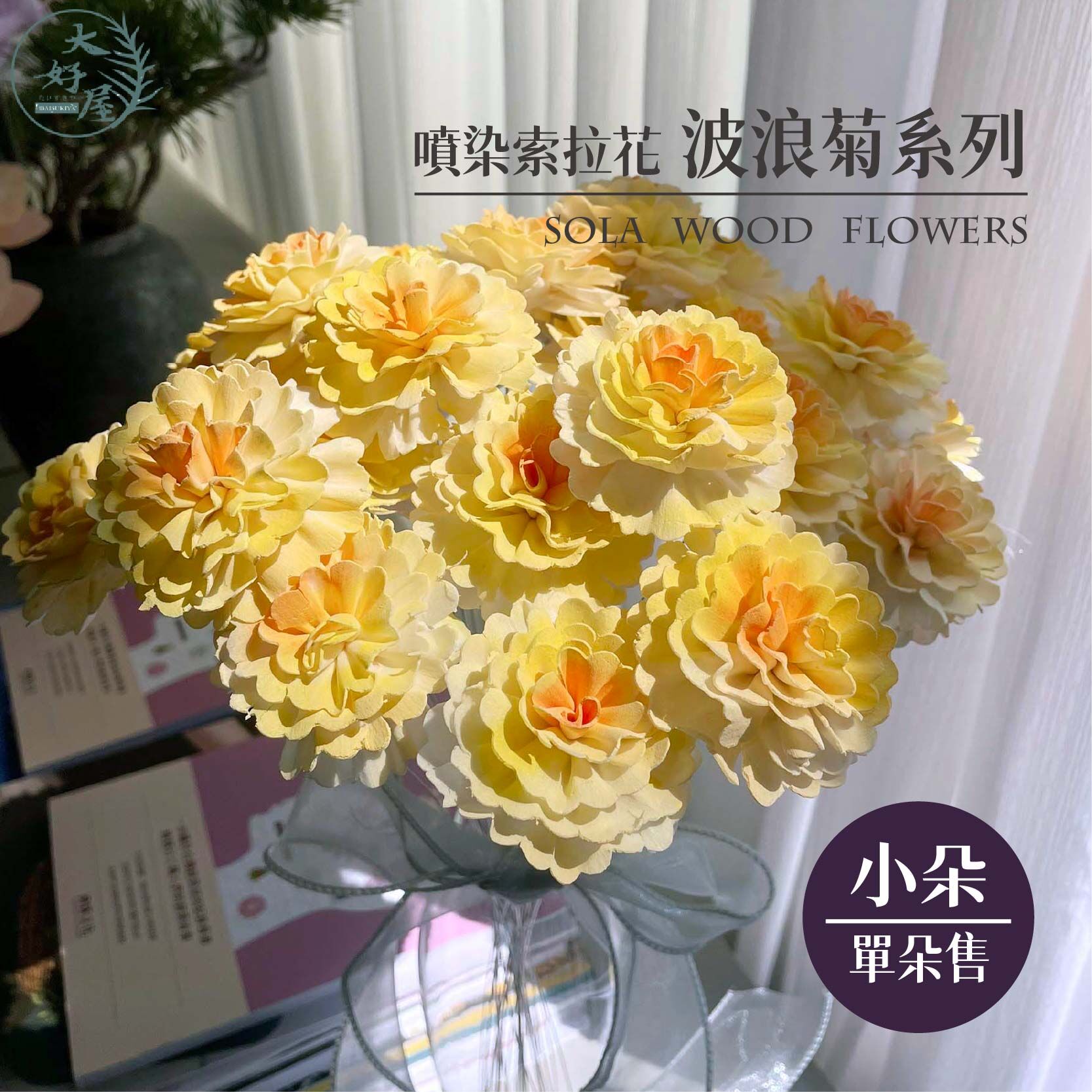 【網】噴染索拉_波浪菊系列