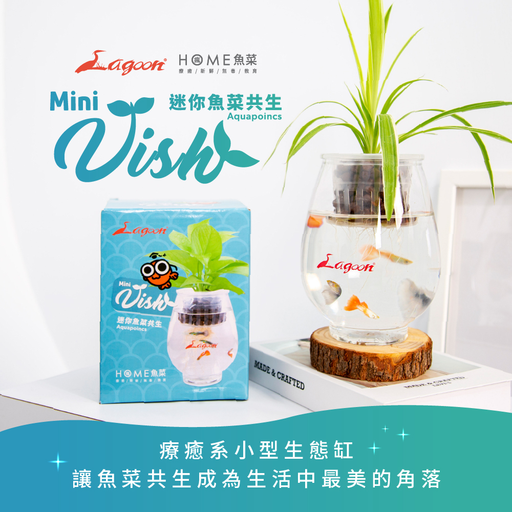迷你魚菜共生療癒系小型生態缸，透明魚缸搭配綠色植物與小魚呈現自然療癒風格