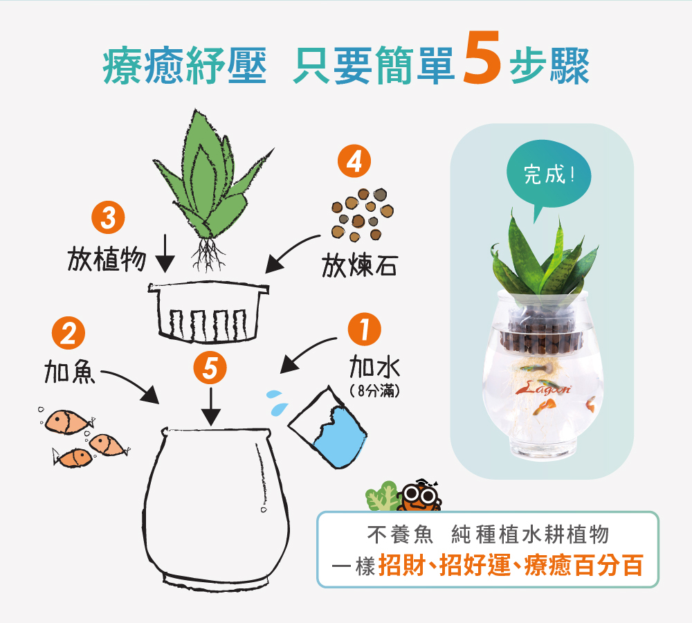 迷你魚菜共生小型生態缸五步驟教學，簡單完成生態缸配置