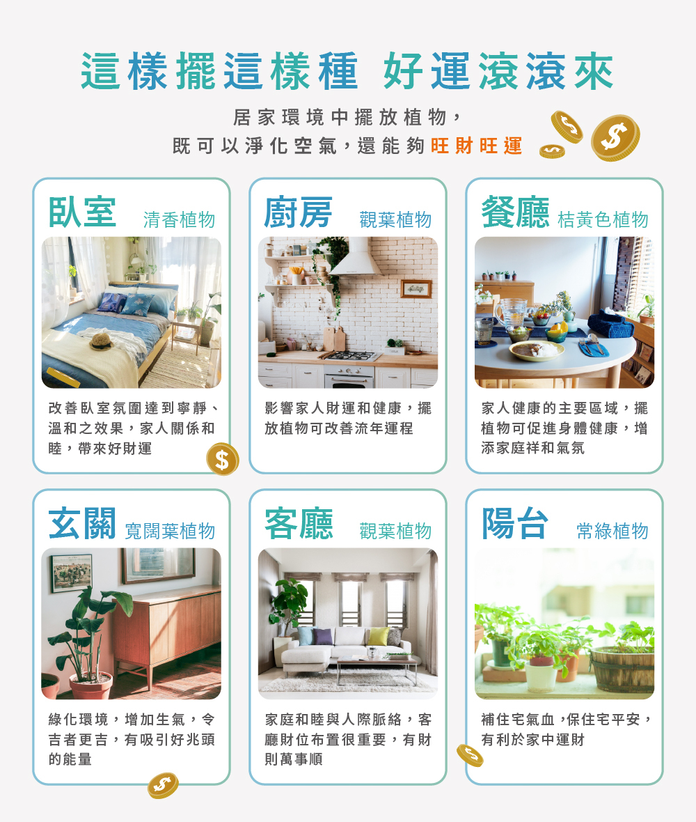 迷你魚菜共生擺放於居家臥室、客廳、廚房、玄關、餐廳、陽台等空間有助於提升財運好運