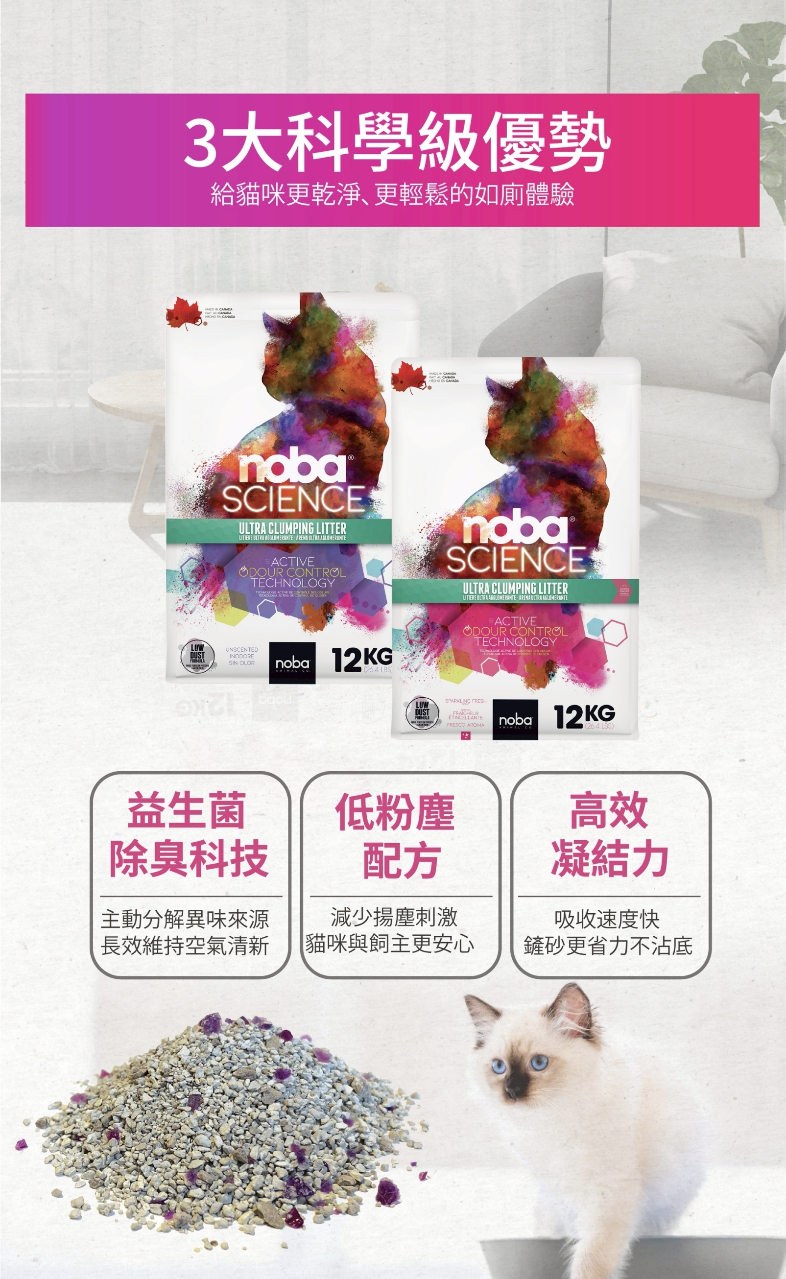 礦砂,貓砂,益生菌,低粉塵,強效凝結