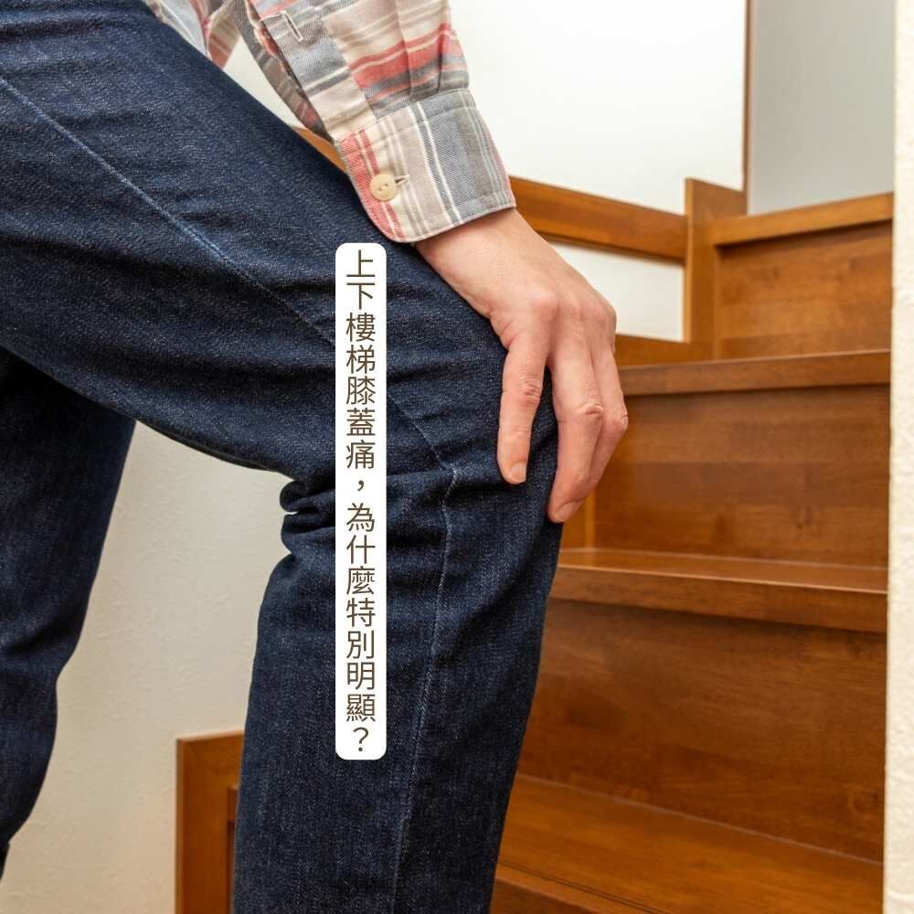 上下樓梯膝蓋受力原理圖解