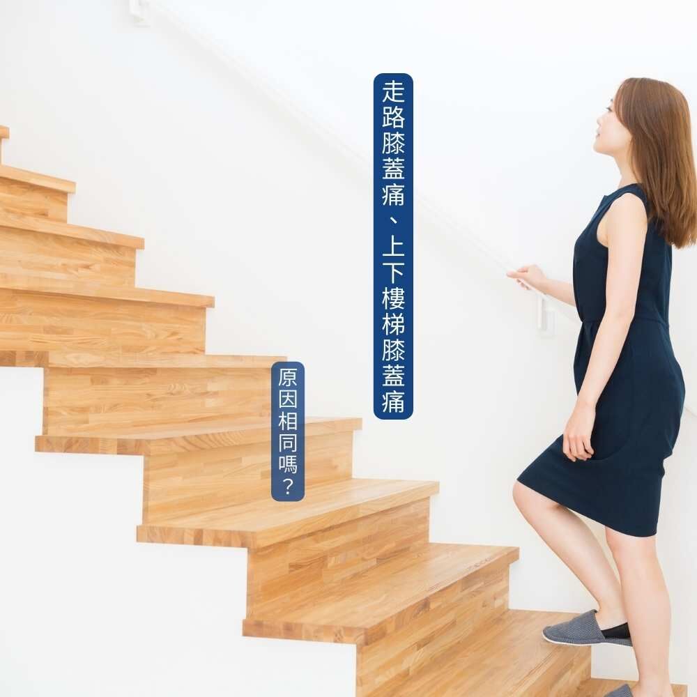 膝蓋受力力學分析