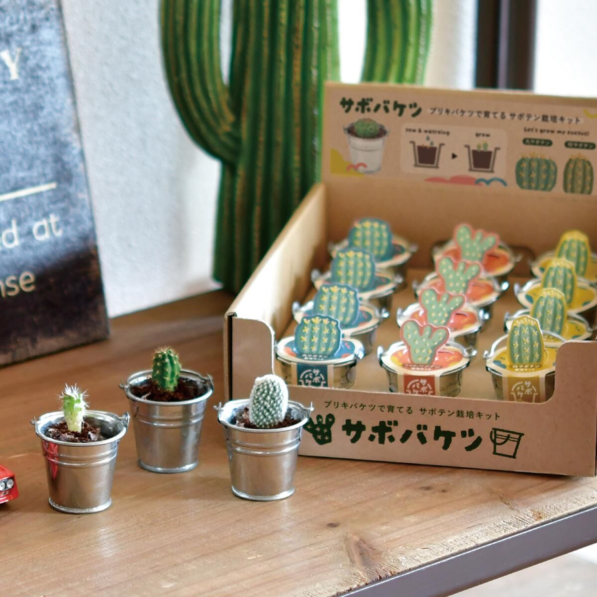 迷你水桶植栽組 [共3款可選擇]