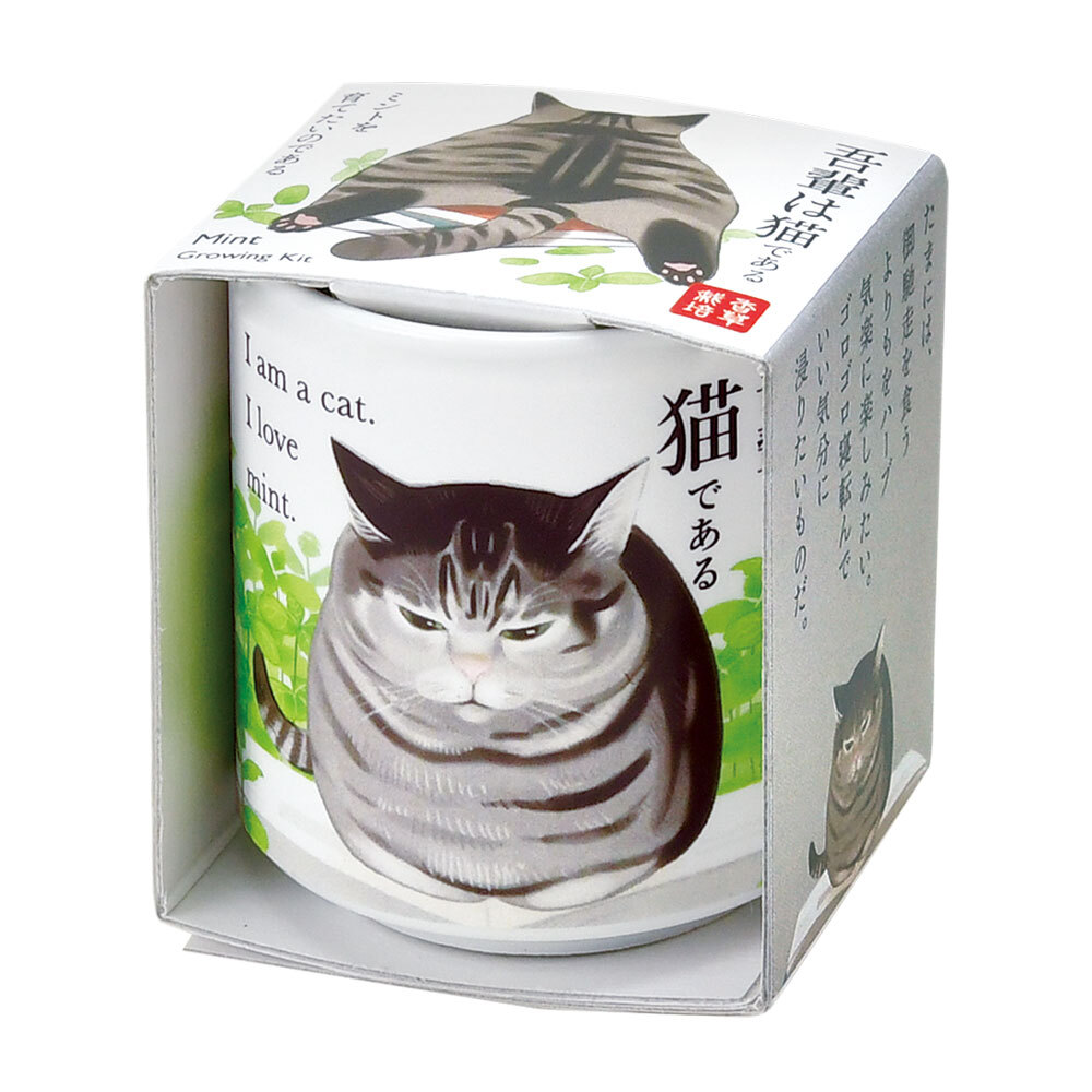 吾輩貓植栽組 [共4款可選擇]