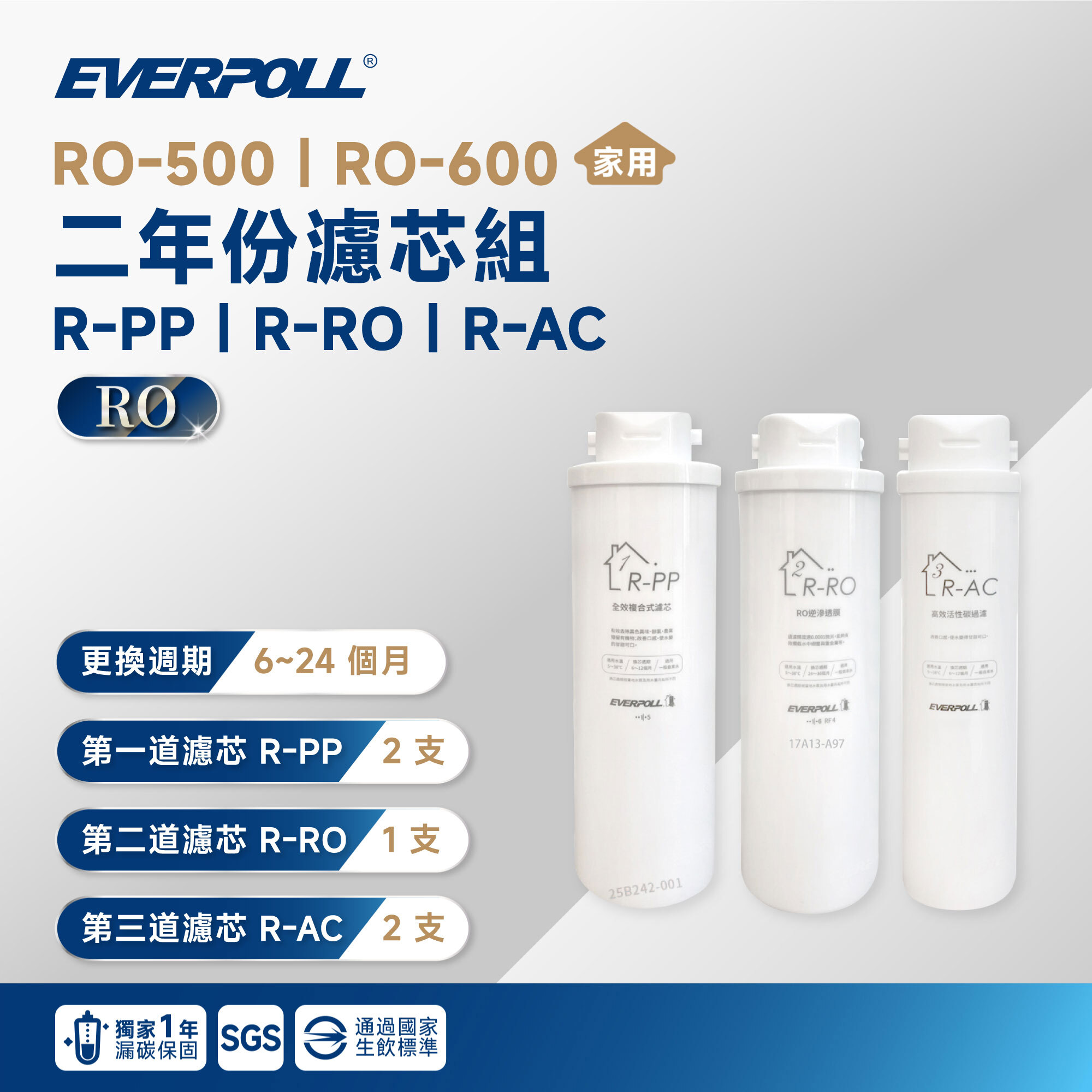 【EVERPOLL 愛科】RO-500｜RO-600 二年份濾芯組 R-PP｜R-RO｜R-AC