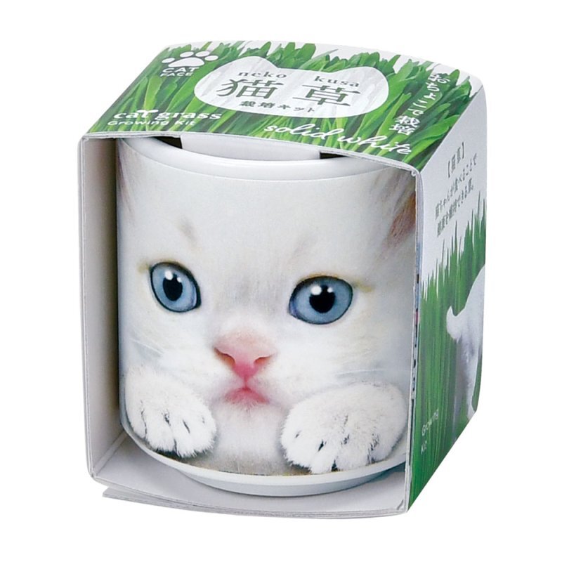 特寫貓植栽組 [共4款可選擇]