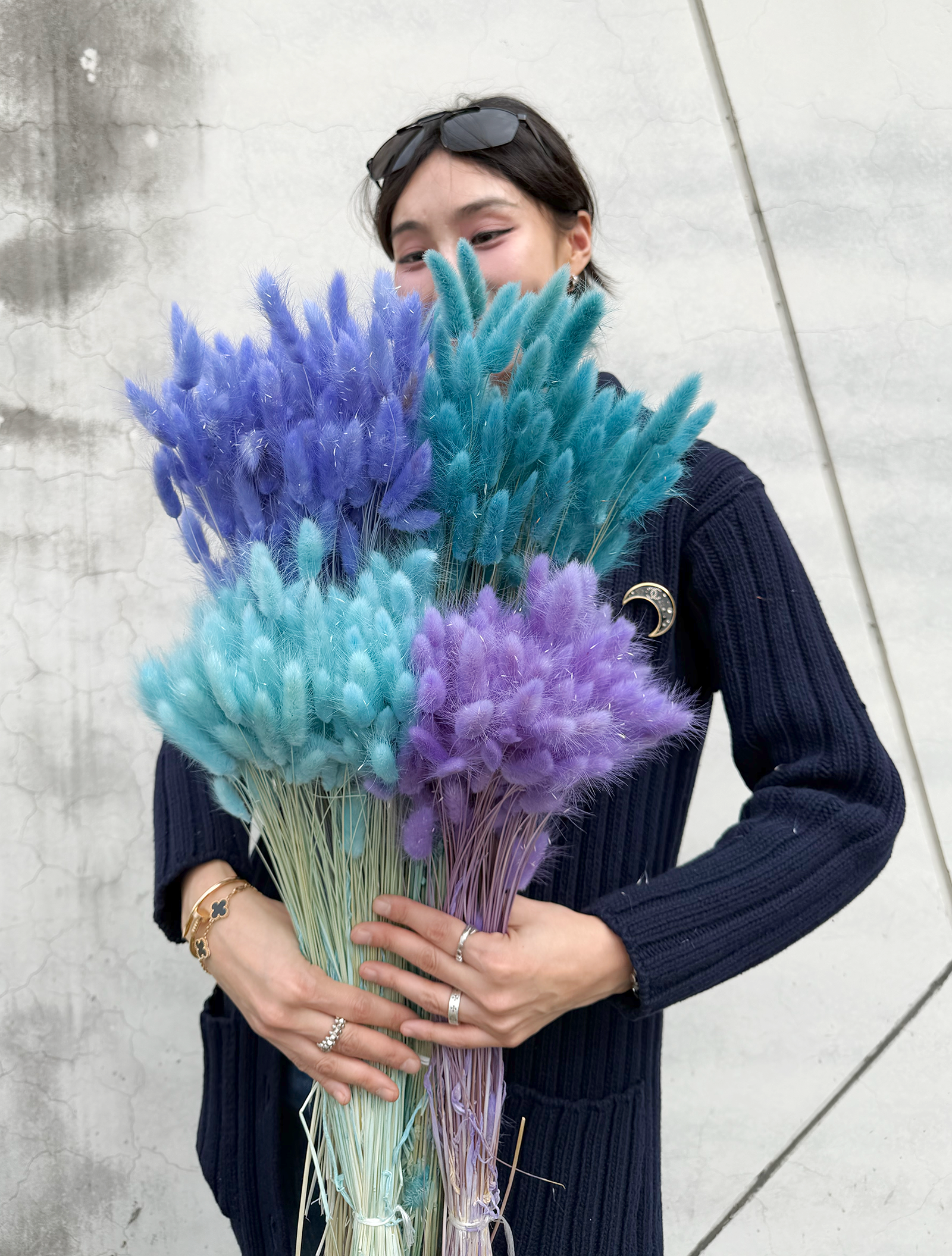 義大利乾燥兔尾草（多色）