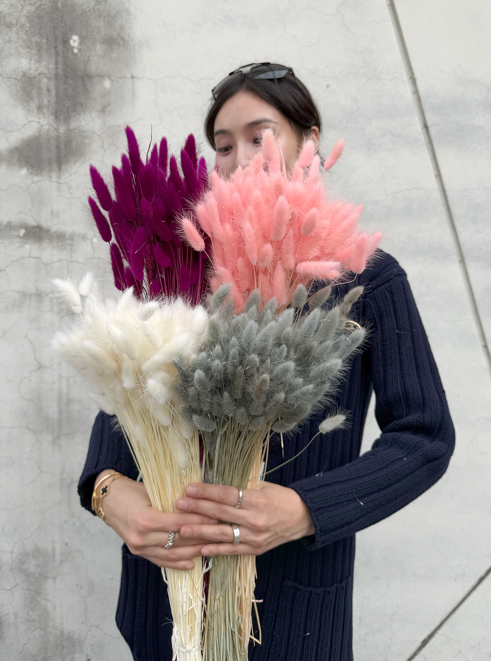 義大利乾燥兔尾草（多色）