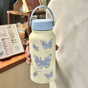 Blue Series 900ML Handheld Thermal Flask