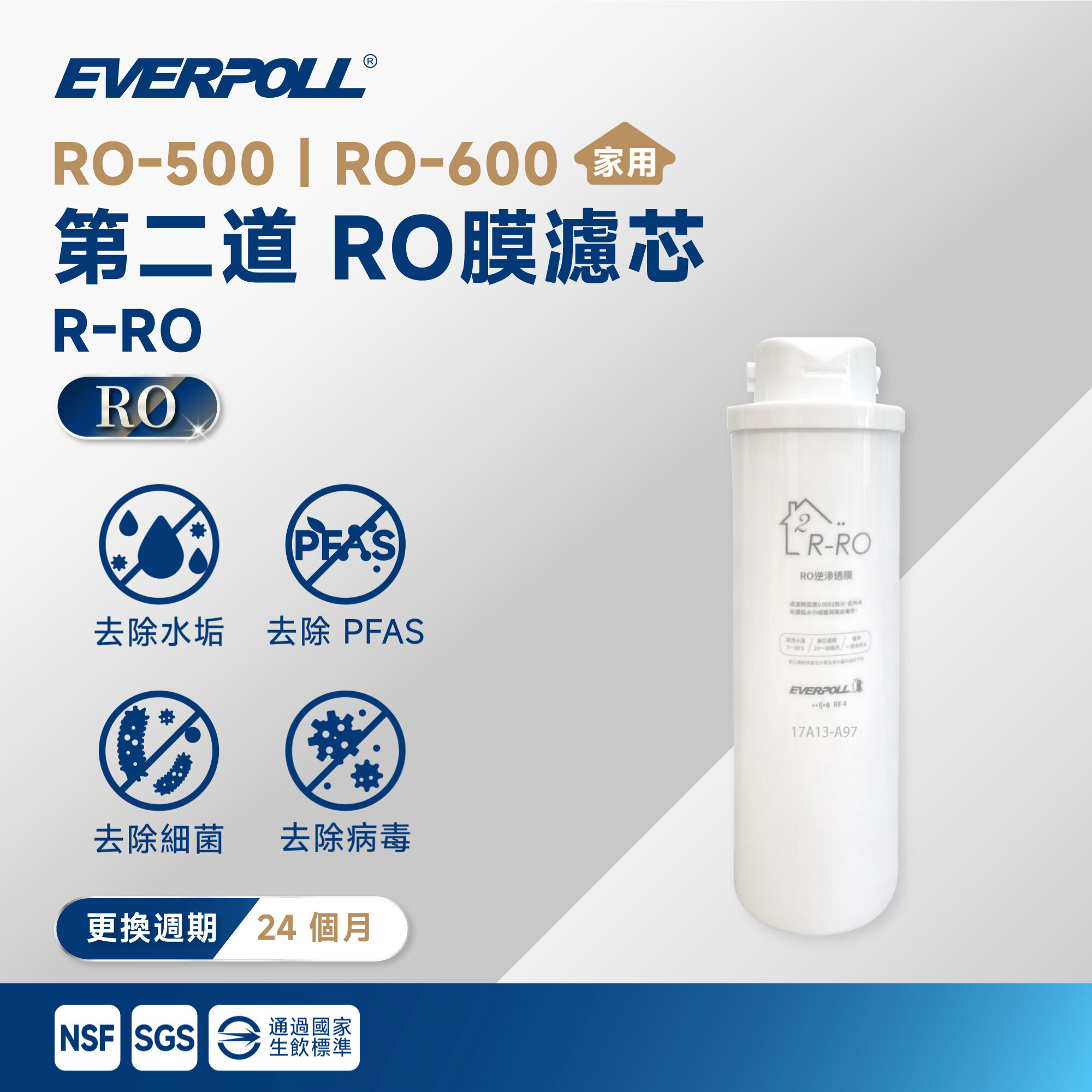 【EVERPOLL 愛科】RO-500｜RO-600 第二道 RO 膜濾芯 R-RO