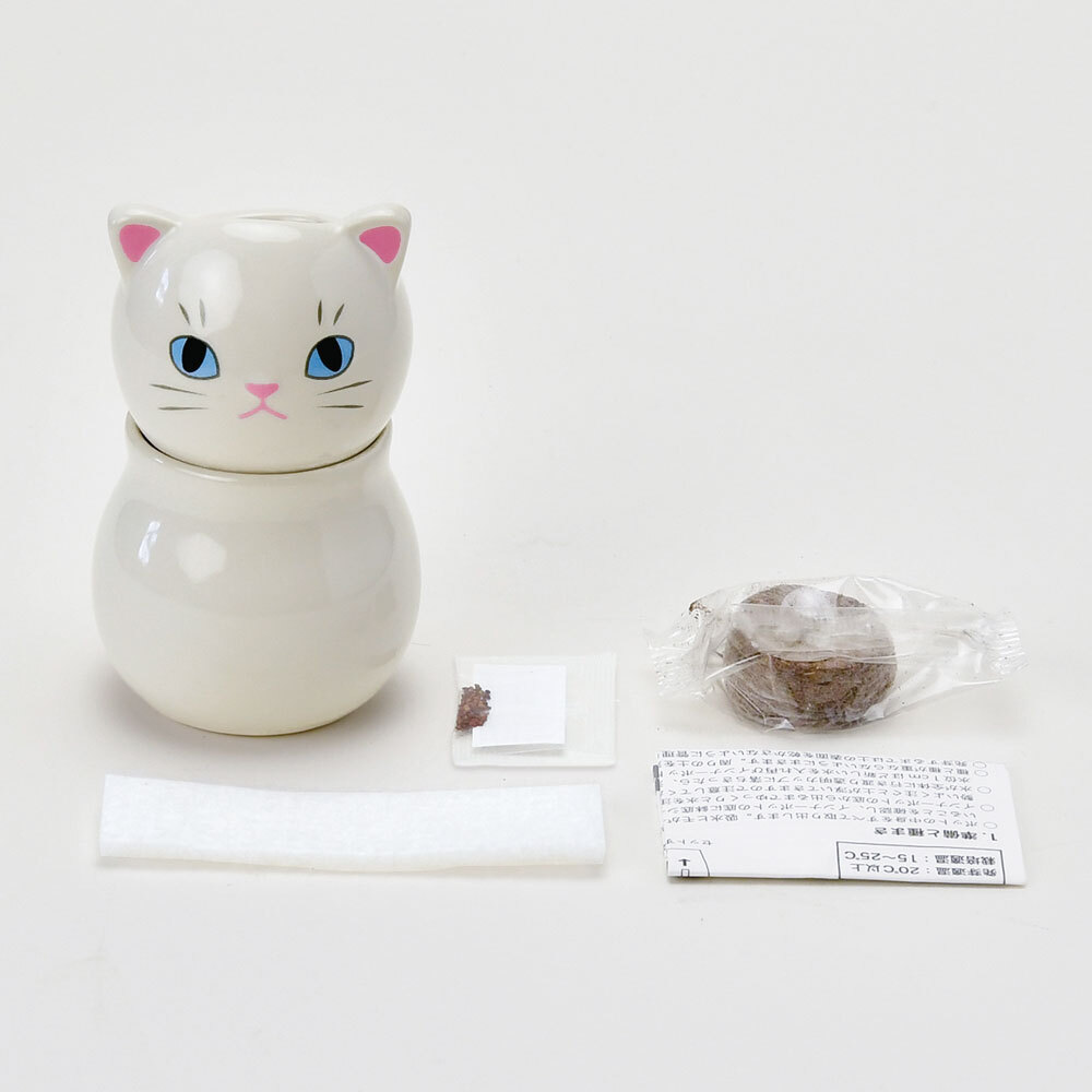 COROCORO貓植物栽組 [共3款可選擇]