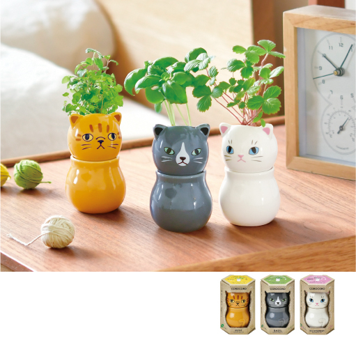 COROCORO貓植物栽組 [共3款可選擇]