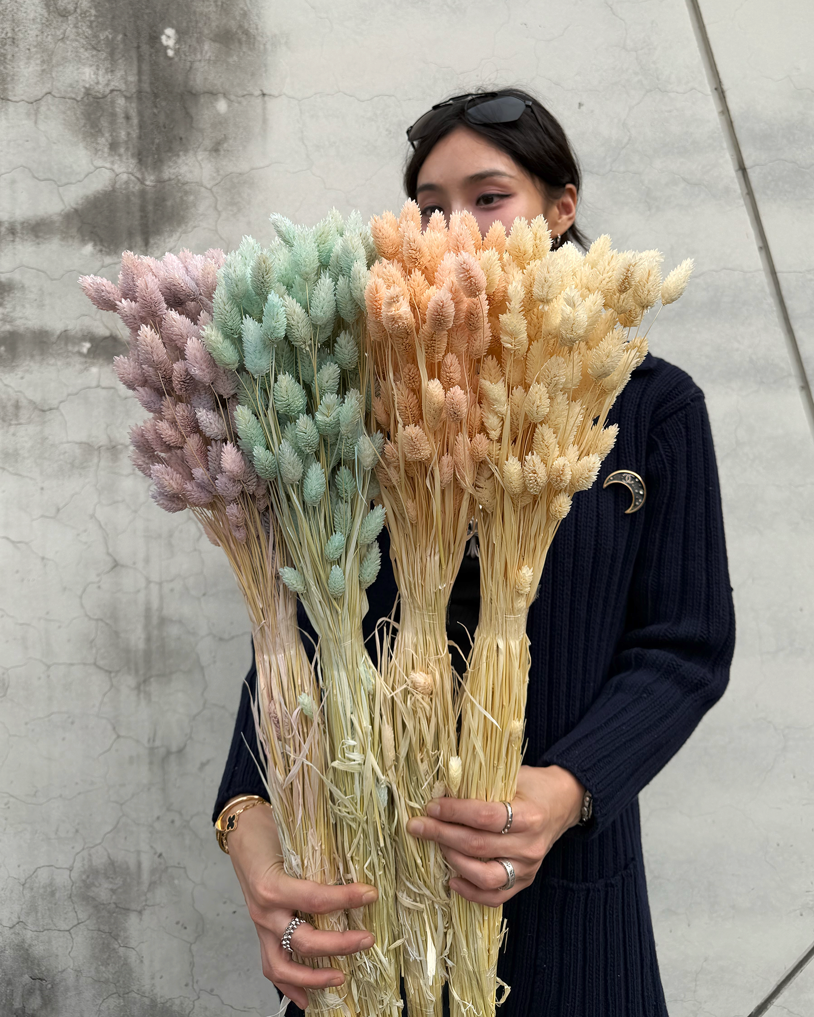 乾燥加那利 (荷蘭)